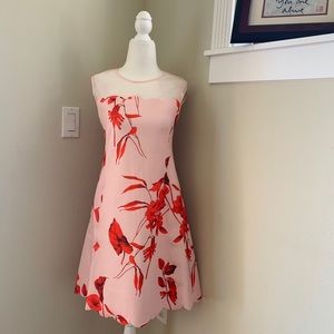 Ted baker dress ( size 1 in this brand)